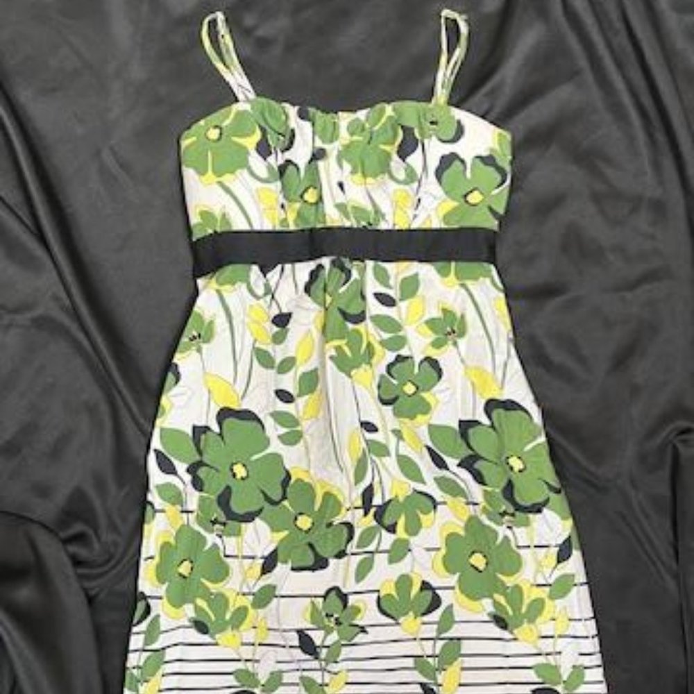 Alyn Paige Floral Sundress